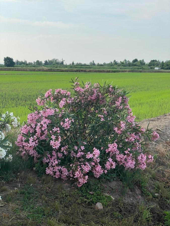 Tenuta Favorita Country House B&B Fontanetto Po Екстер'єр фото